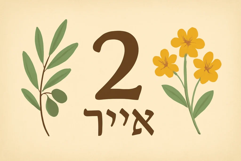 2nd hebrew month