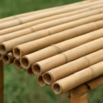 Bamboo Poles for Sukkah: Durable, Eco-Friendly Frames and Build Tips bamboo poles for sukkah