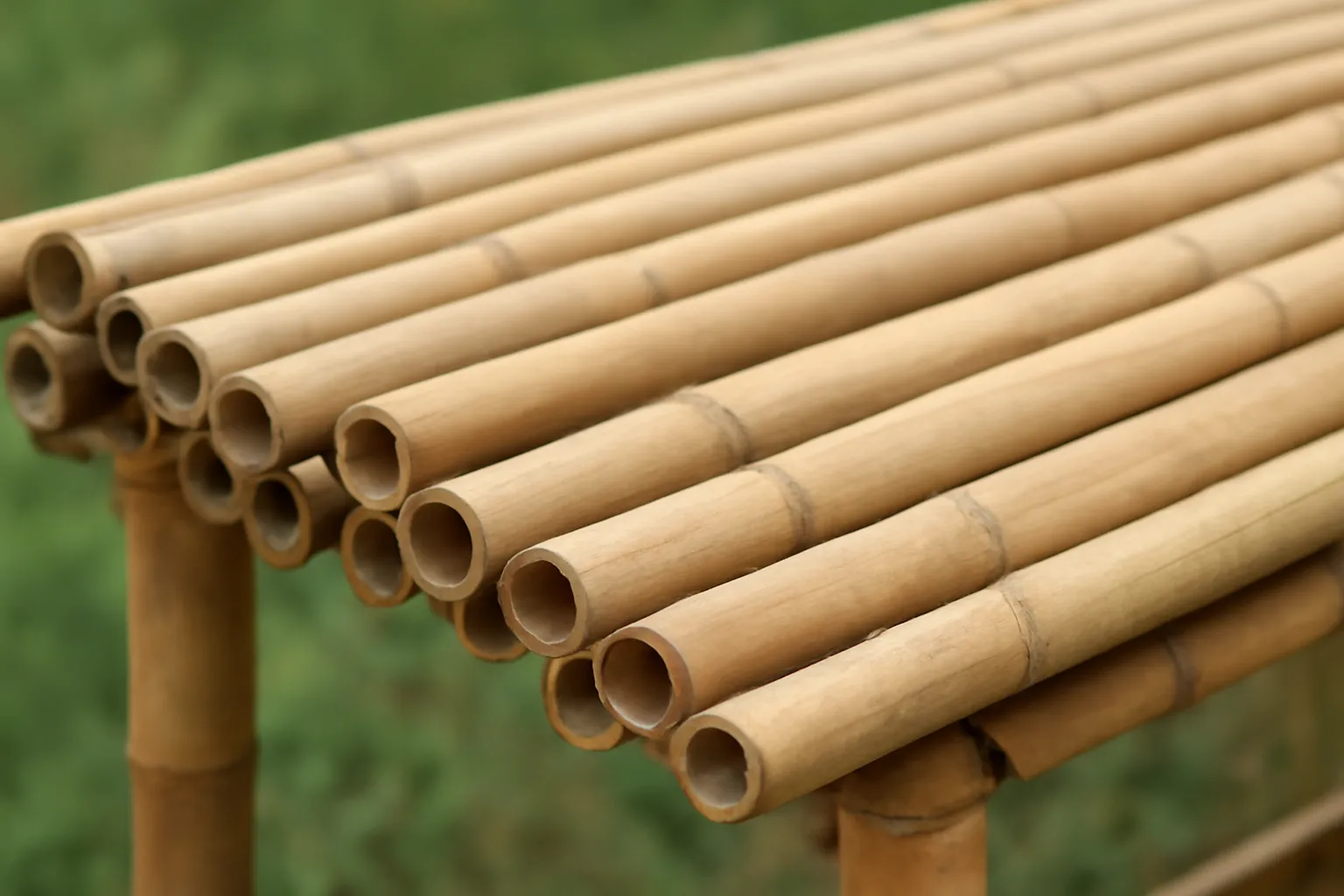 bamboo poles for sukkah
